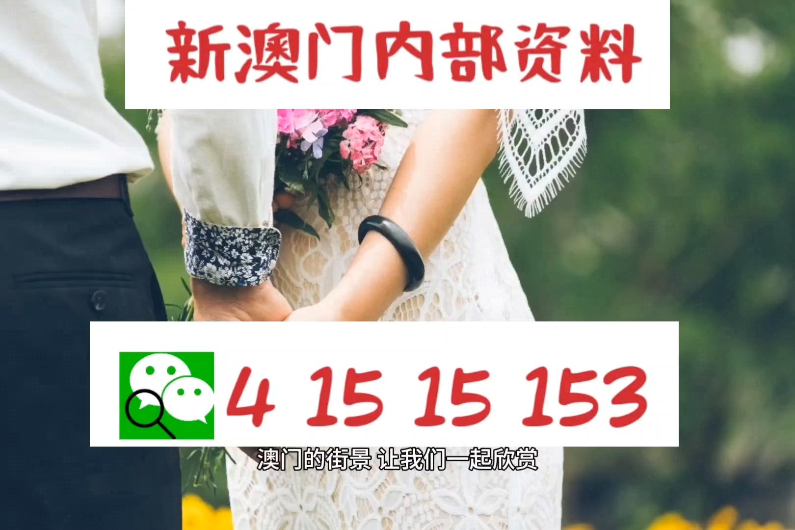 新澳2025资料最新大全与2025新澳门最精准免费大全,全面释义、解释与落实与警惕虚假宣传
